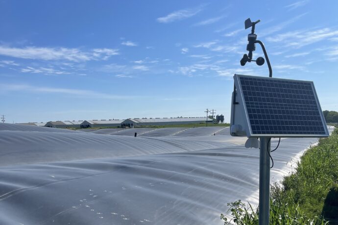 Biogas & Renewable Energy
