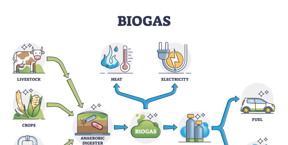 A diagram showing that livestock waste, crops, wastewater, and food waste, when put through an anaerobic digester, results in either digestate which can be used to make fertilizer and livestock bedding, or biogas, which generates heat and electricity and produces biomethane, which is used for fuel.